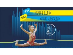 Соревнования по художественной гимнастике 