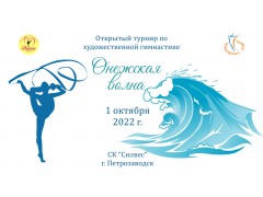 Соревнования по художественной гимнастике 
