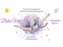 Открытый турнир по художественной гимнастике 