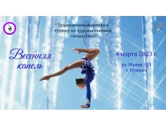 Традиционный детский турнир по художественной гимнастике 