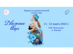 Турнир по художественной гимнастике 