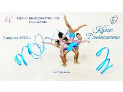 Турнир по художественной гимнастике «Кубок Достижение».  ФОК 