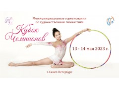 Межмуниципальные соревнования по художественной гимнастике «Кубок Чемпионов». Арена 