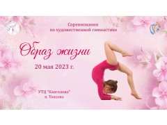 Физкультурные соревнования по художественной гимнастике 