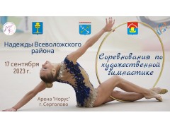 Муниципальные сорвенования по художественной гимнастике «Надежды Всеволожского района». Сертолово, Арена 