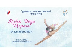 Соревнования по художественной гимнастике 