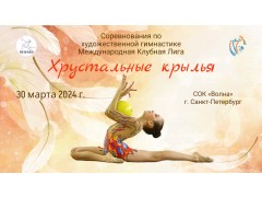 Соревнования по художественной гимнастике 