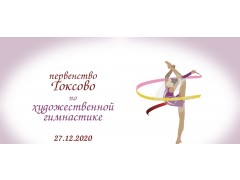 Турнир по художественной гимнастике 