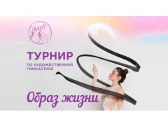 Соревнования по художественной гимнастике 